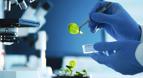 生物制藥專業就業前景怎么樣,學什么,好就業嗎