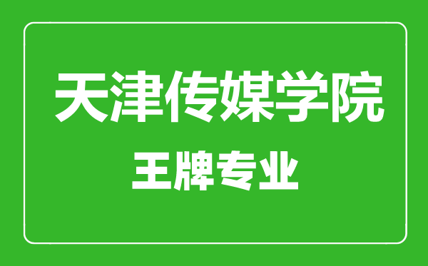 天津傳媒學院王牌專業有哪些,天津傳媒學院最好的專業是什么