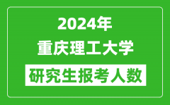2024年重慶理工大學研究生報考人數(shù)