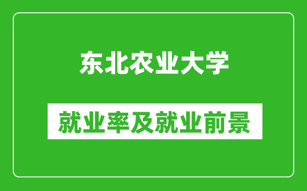 東北農業大學就業率怎么樣,就業前景好嗎?