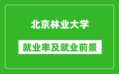 北京林業大學就業率怎么樣_就業前景好嗎？