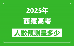 2025年西藏高考人數是多少_西藏高考人數預測