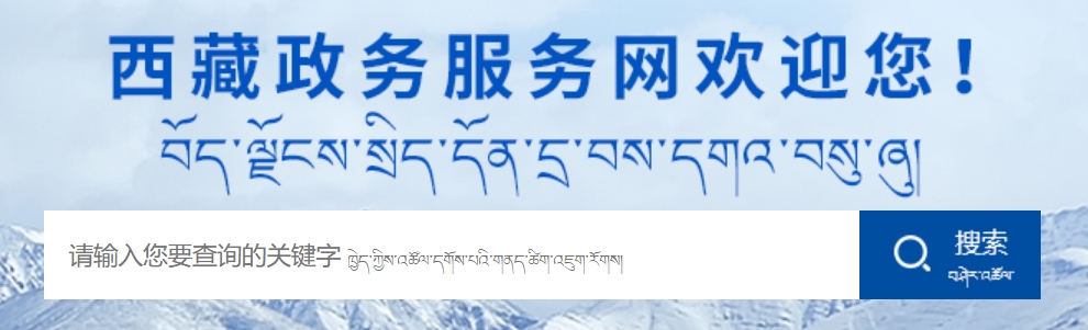 2025年西藏政務服務網(wǎng)官網(wǎng)成績查詢?nèi)肟?https://www.xzzwfw.gov.cn