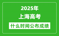 2025年上海高考成績(jī)什么時(shí)間公布（含查詢?nèi)肟冢?/></a></dt> 


<h3><a href="/gaokaochaxun/76190.html">2025年上海高考成績(jī)什么時(shí)間公布（含查詢?nèi)肟冢?/a></h3>
                    <p>2025年上海高考成績(jī)預(yù)計(jì)于 6月23日 左右公布。2025年上海高考?jí)m埃落定后，大家最關(guān)心的是，2025年上海高考成績(jī)什么時(shí)候公布？下面整理了2025年上海高考出分具體時(shí)間，同時(shí)，也...</p>
                </li><li>


 <dt><a href=