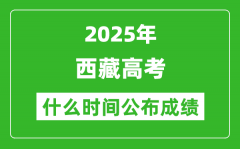 2025年西藏高考成績(jī)什么時(shí)間公布（含查詢?nèi)肟冢?/></a></dt> 


<h3><a href="/gaokaochaxun/76191.html">2025年西藏高考成績(jī)什么時(shí)間公布（含查詢?nèi)肟冢?/a></h3>
                    <p>2025年西藏高考成績(jī)預(yù)計(jì)于 6月26日 左右公布。2025年西藏高考?jí)m埃落定后，大家最關(guān)心的是，2025年西藏高考成績(jī)什么時(shí)候公布？下面整理了2025年西藏高考出分具體時(shí)間，同時(shí)，也...</p>
                </li><li>


 <dt><a href=
