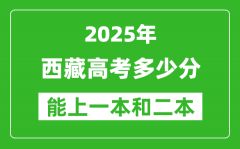 預計2025年西藏高考多少能上一本和二本_錄取分數(shù)線預測
