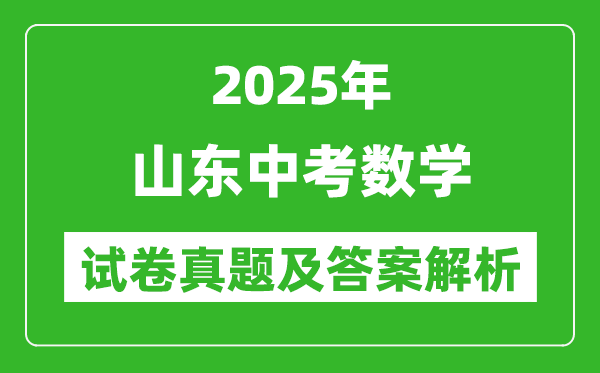 2025年山東中考數學試卷真題及答案解析